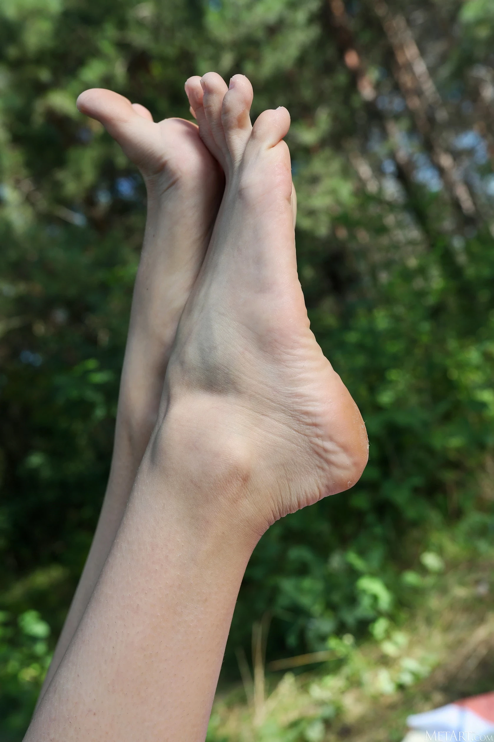 小黄车世界模特下载网