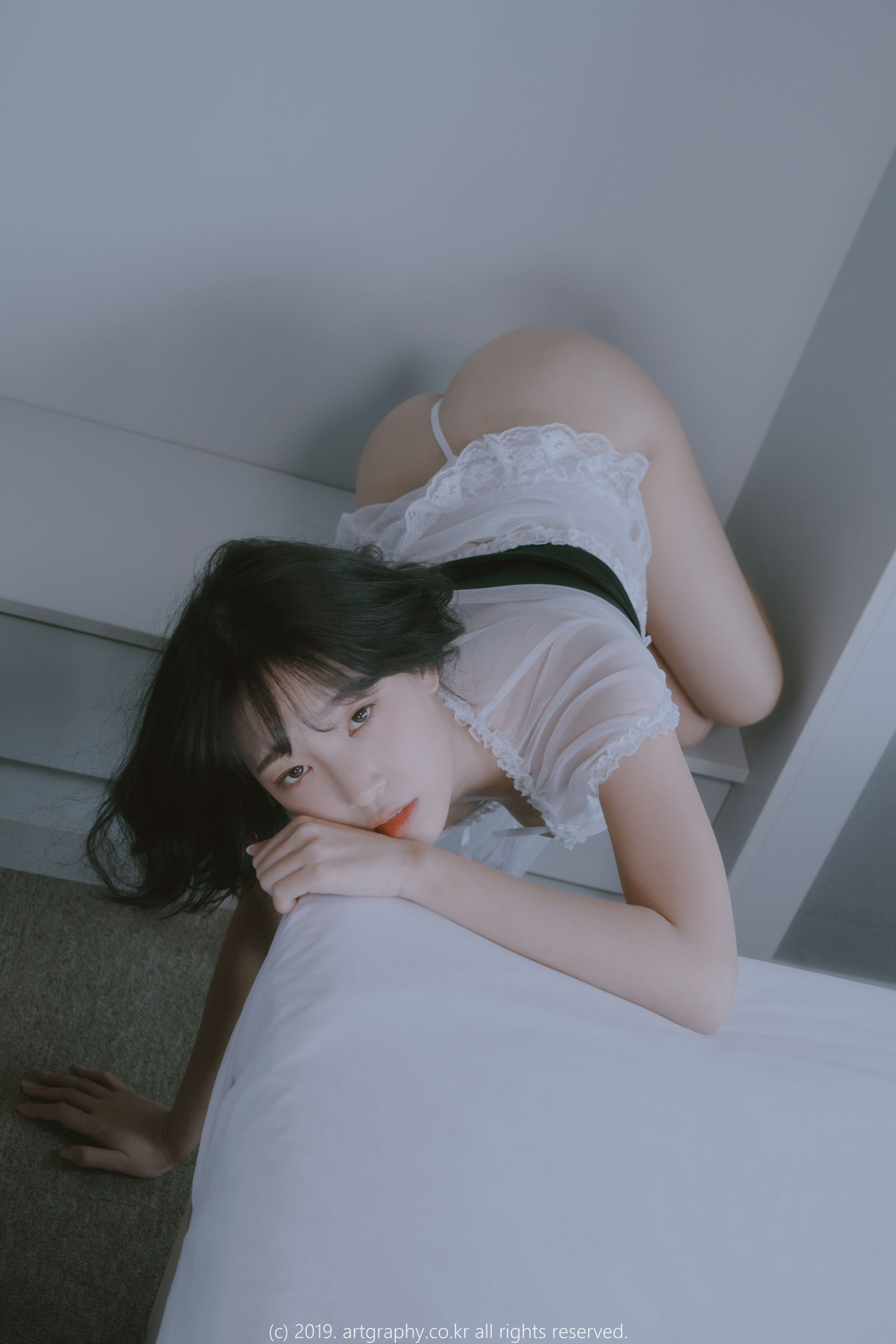 小黄车世界模特下载网