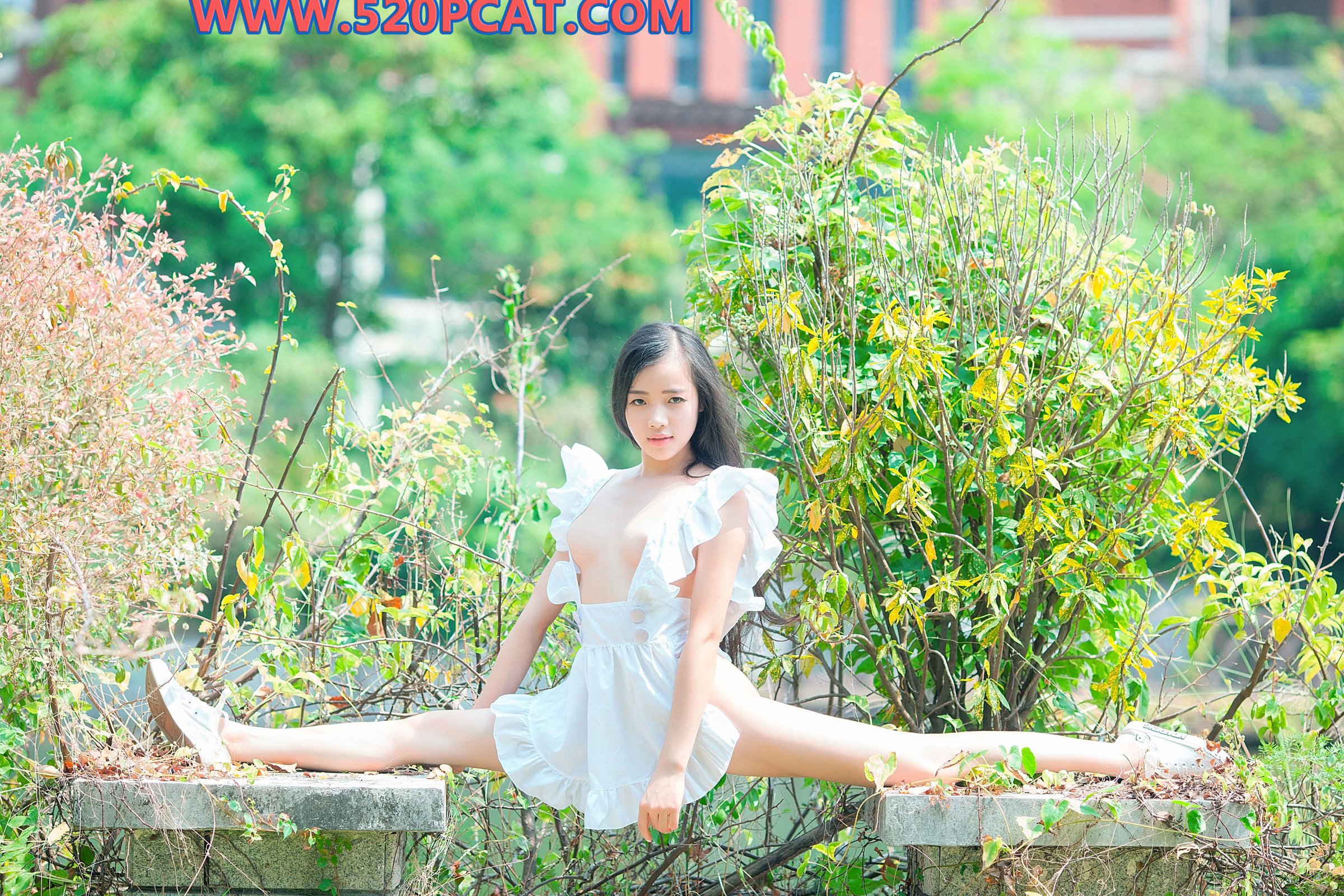 [轟趴貓]Vol. 095 Vol.095 (36/37)