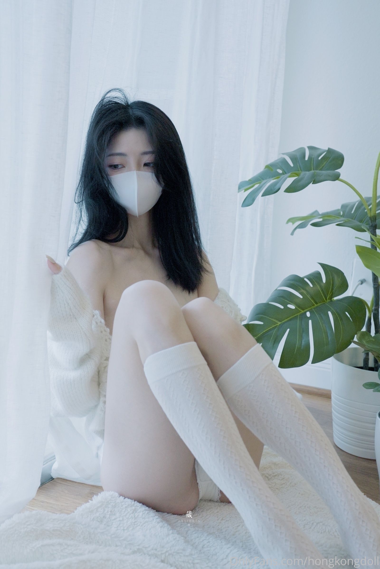 小黄车世界模特下载网