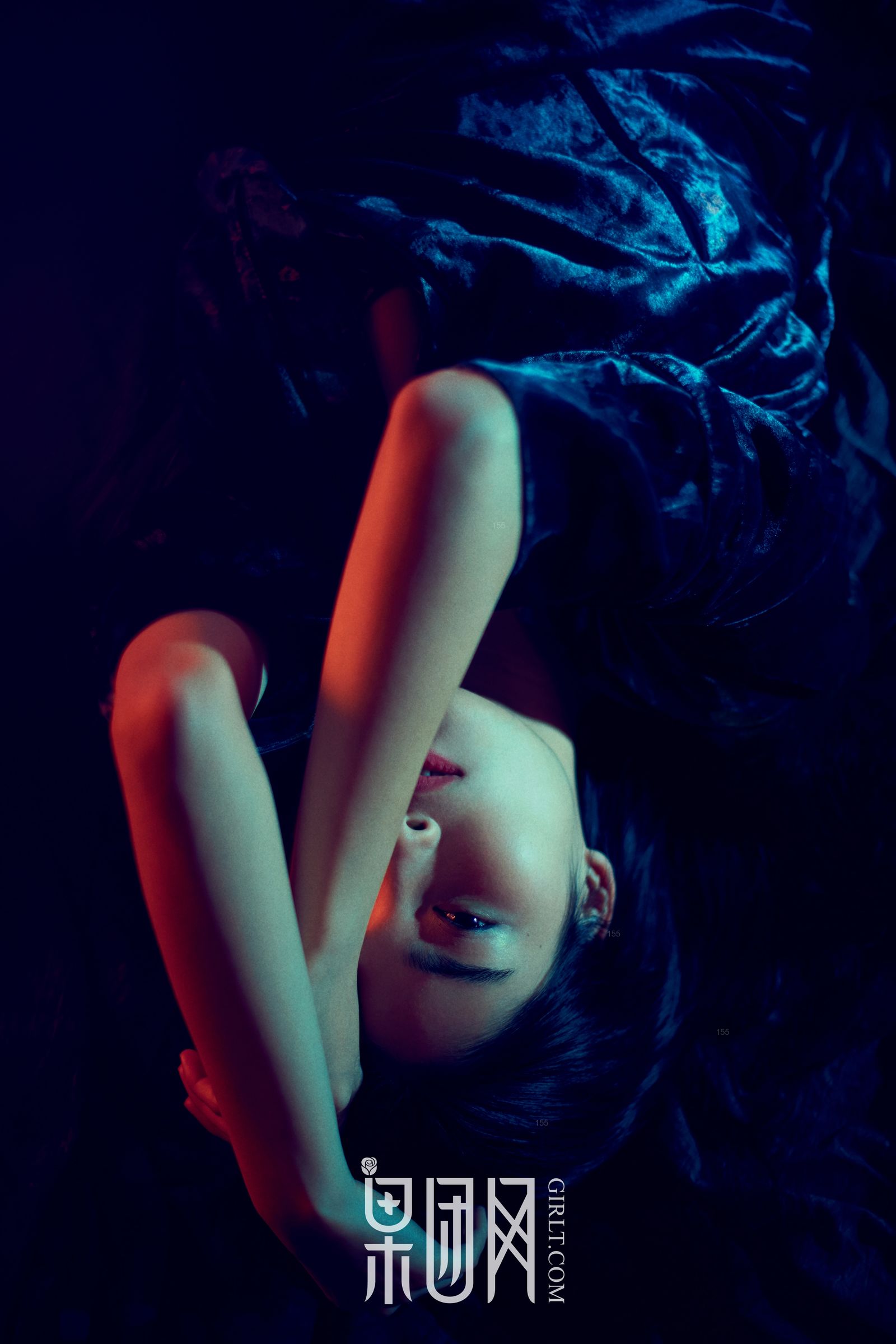 [果團網]薔薇 (39/51)