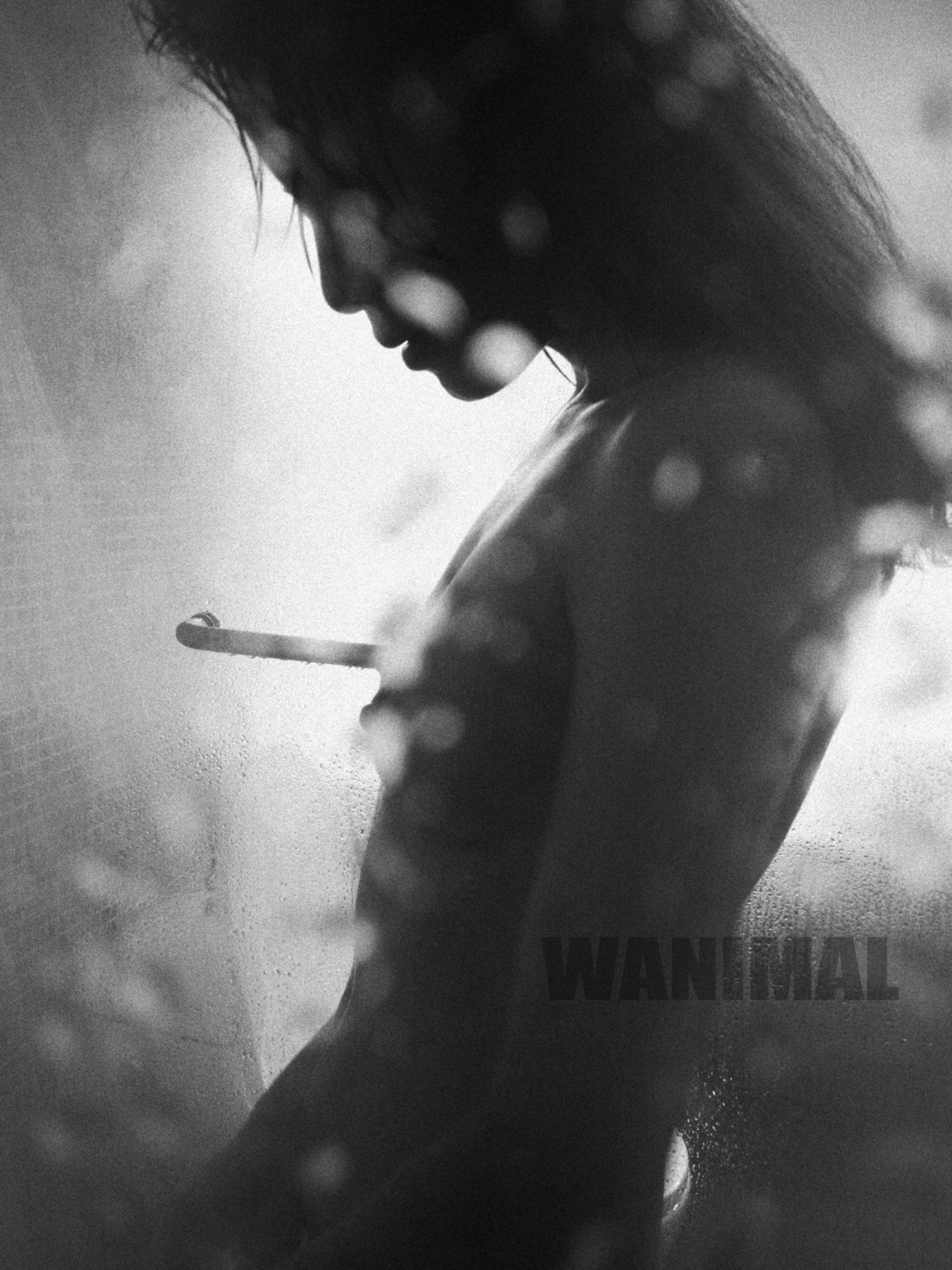 小黄车世界模特下载网