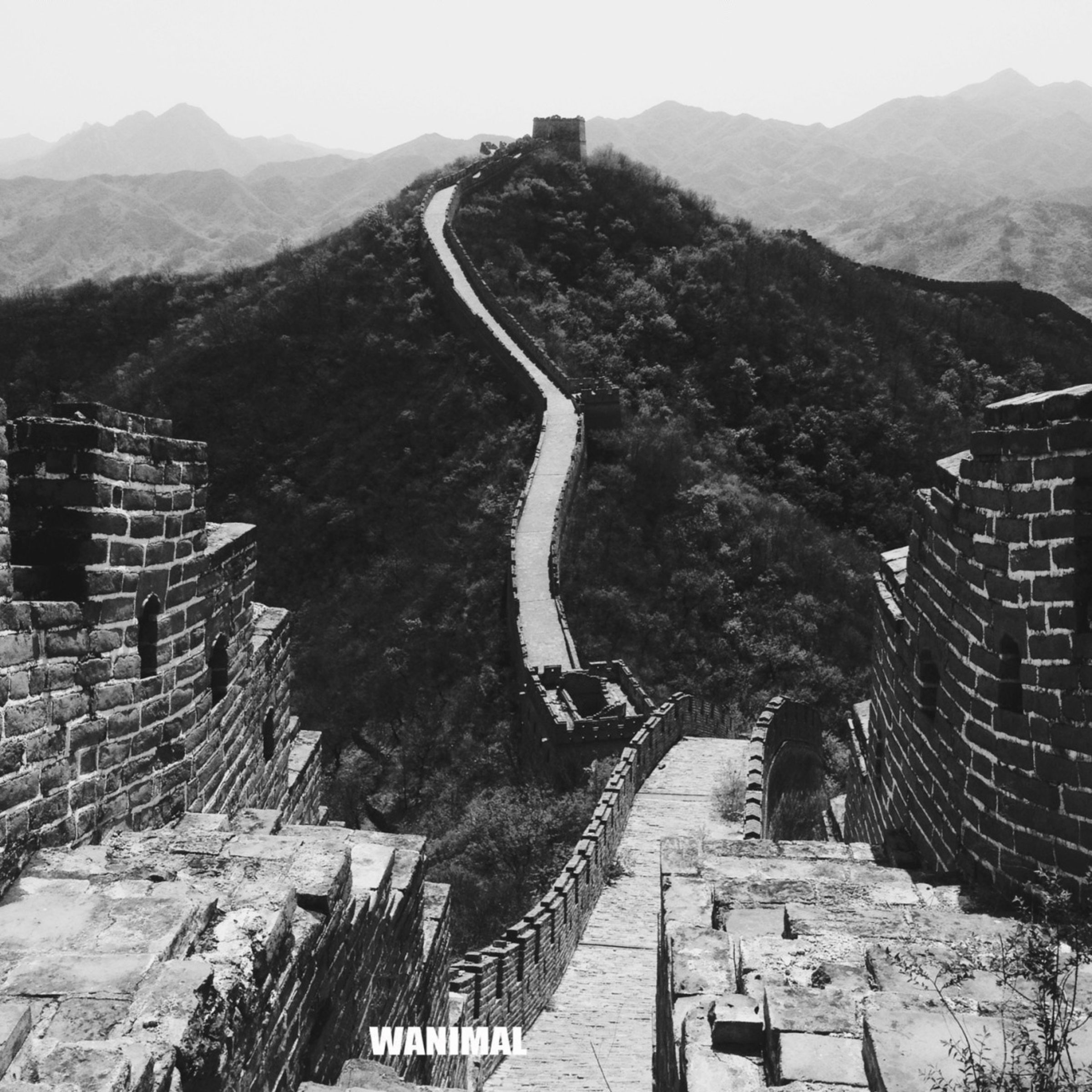 小黄车世界模特下载网