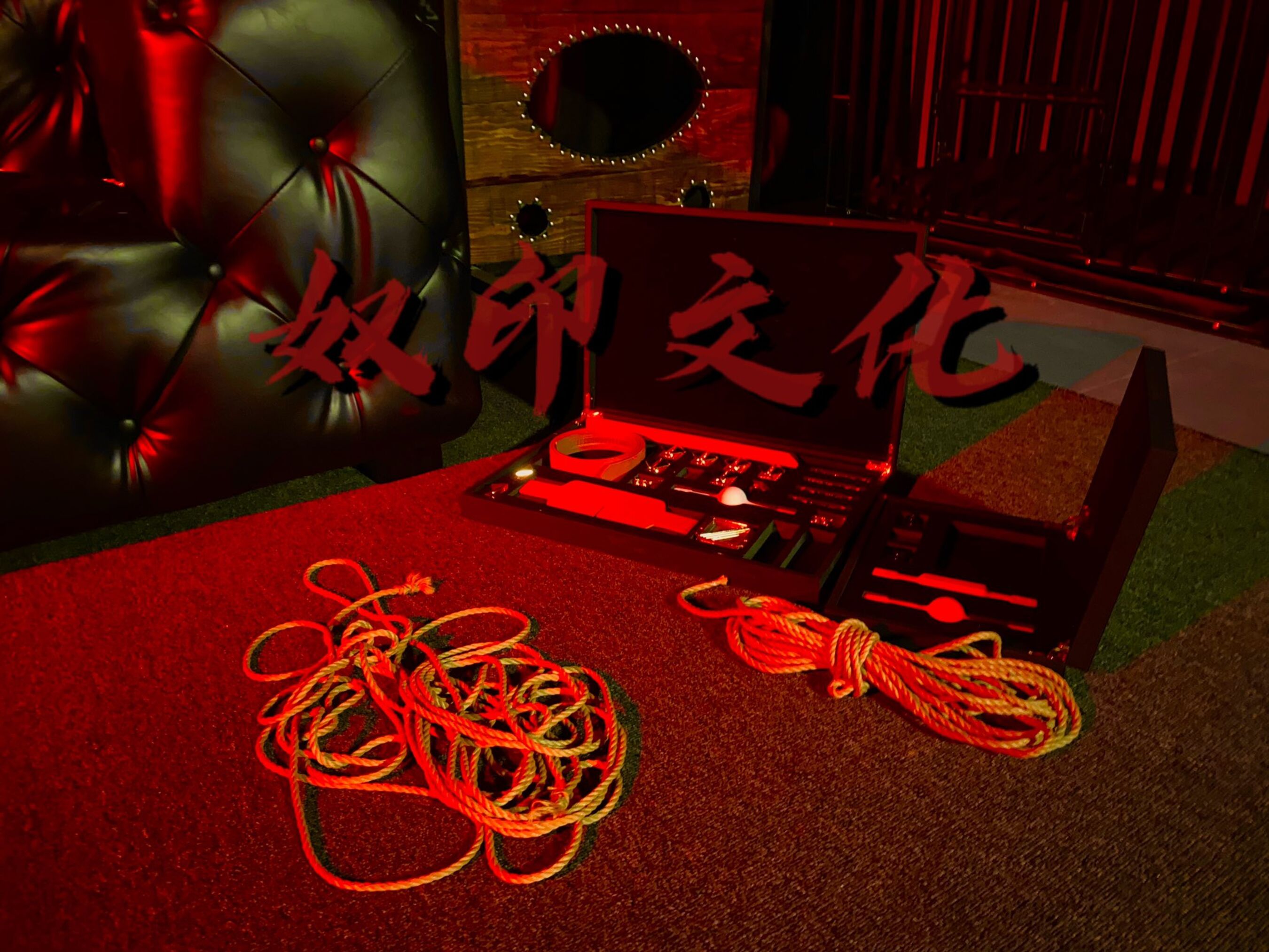 [人體攝影]國模人體 (20/46)