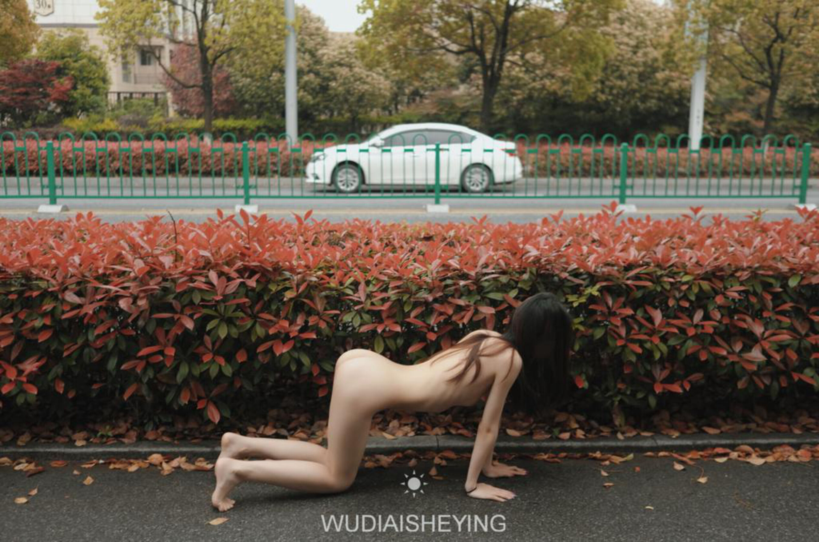 [人體攝影]國模人體 (75/500)