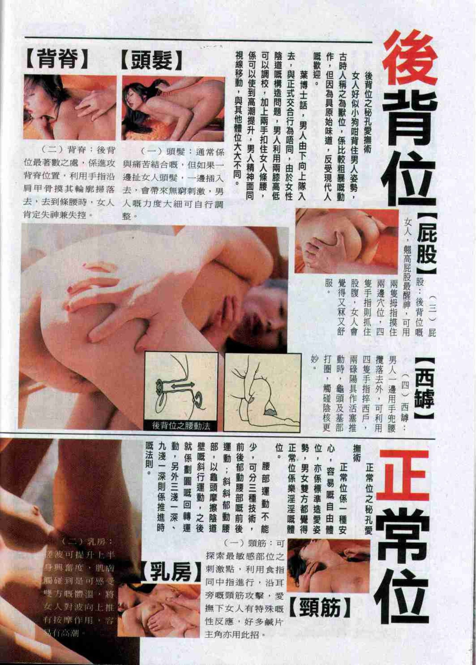 小黄车世界模特下载网